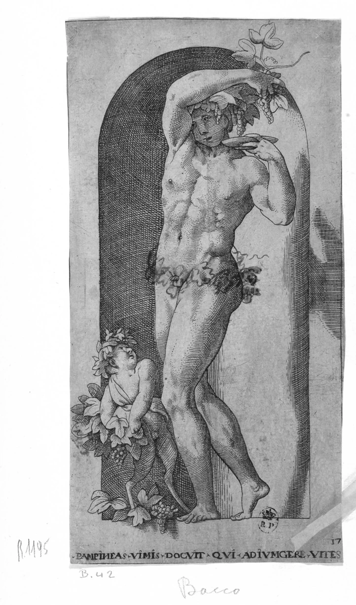 Fiorentino - Bacco, Galleria Sabauda, Torino